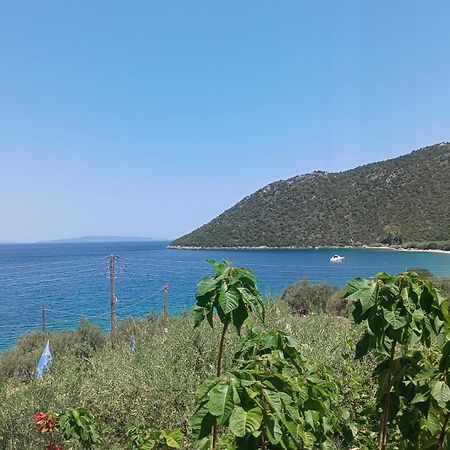 Studios Zaritsi Τυρός Εξωτερικό φωτογραφία