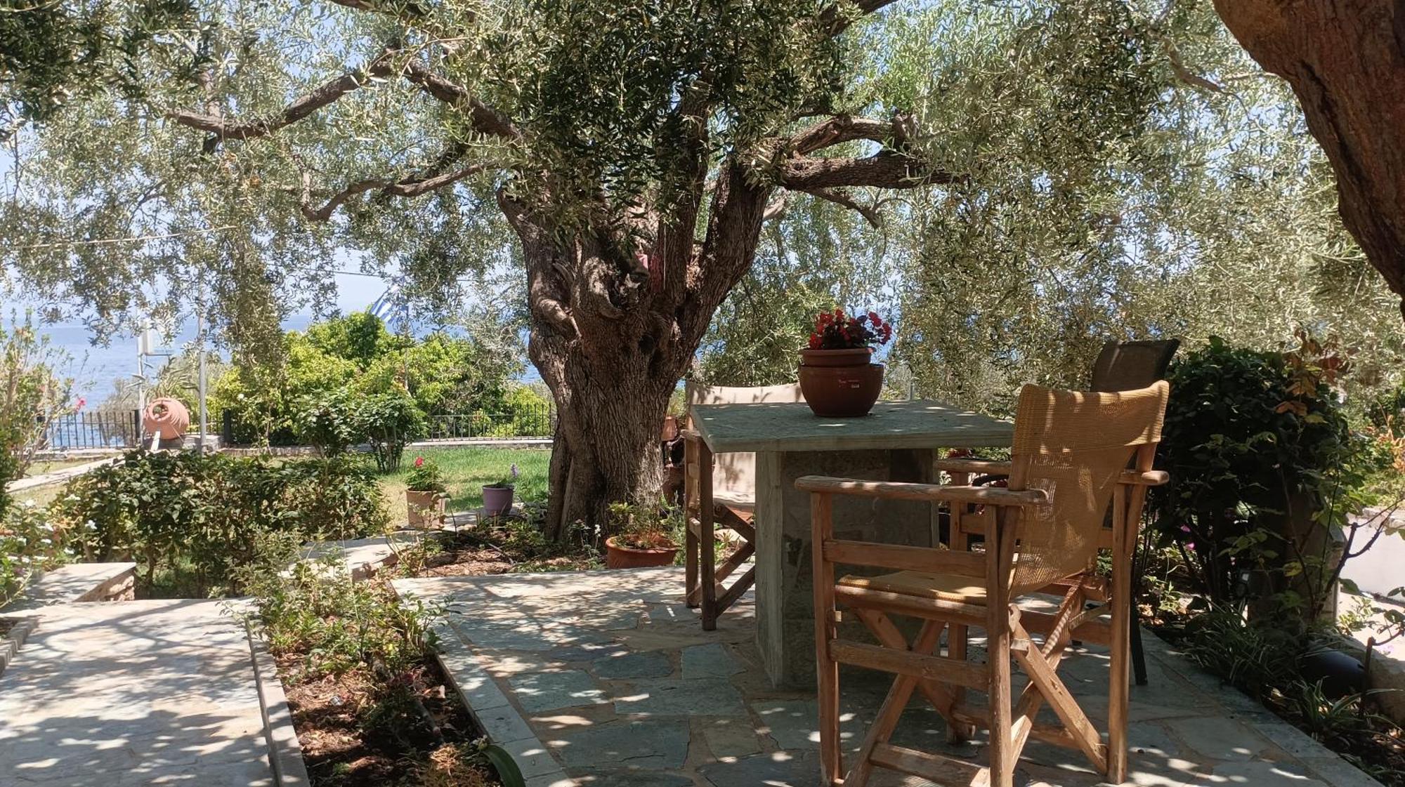 Studios Zaritsi Τυρός Εξωτερικό φωτογραφία