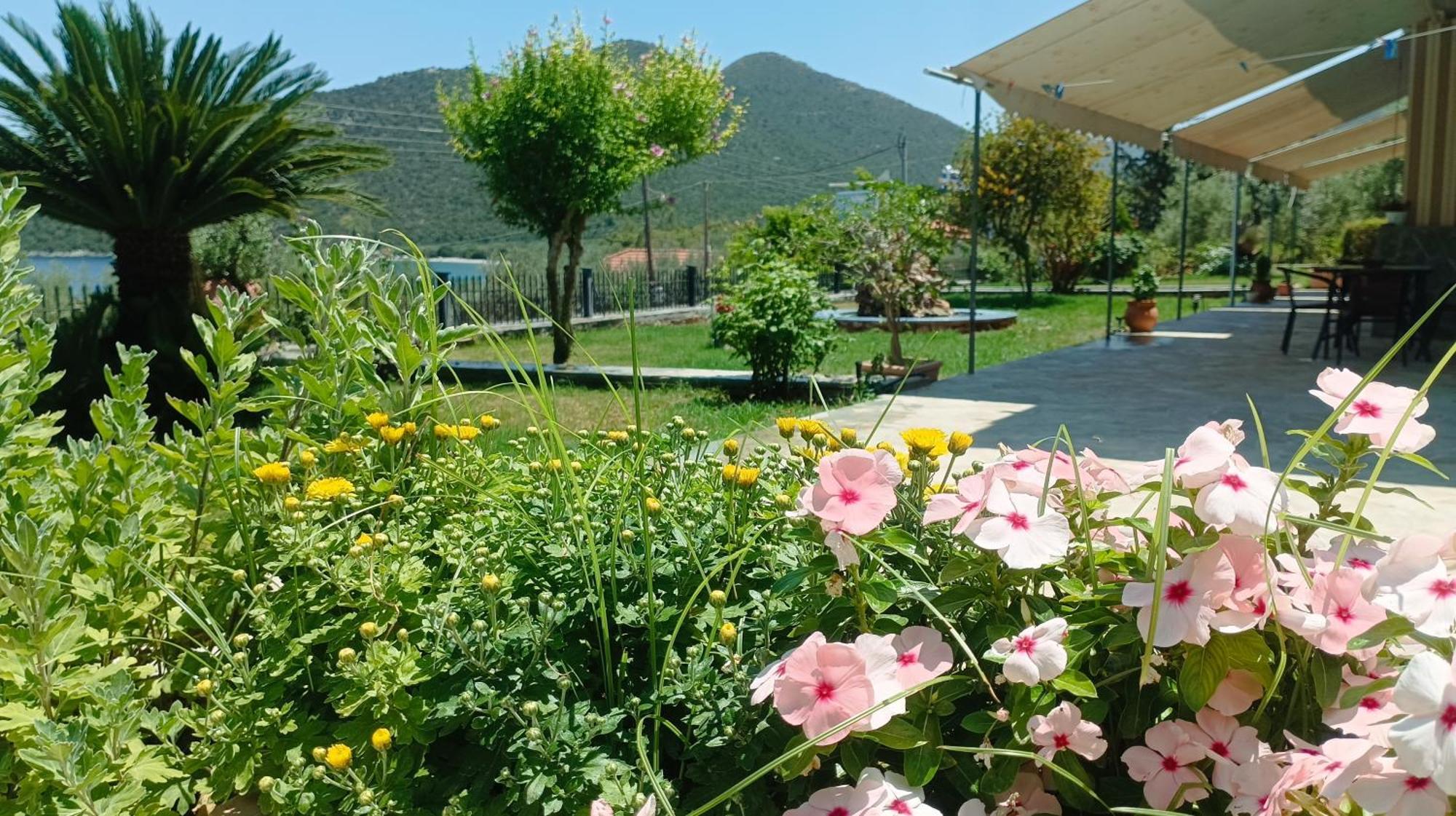 Studios Zaritsi Τυρός Εξωτερικό φωτογραφία