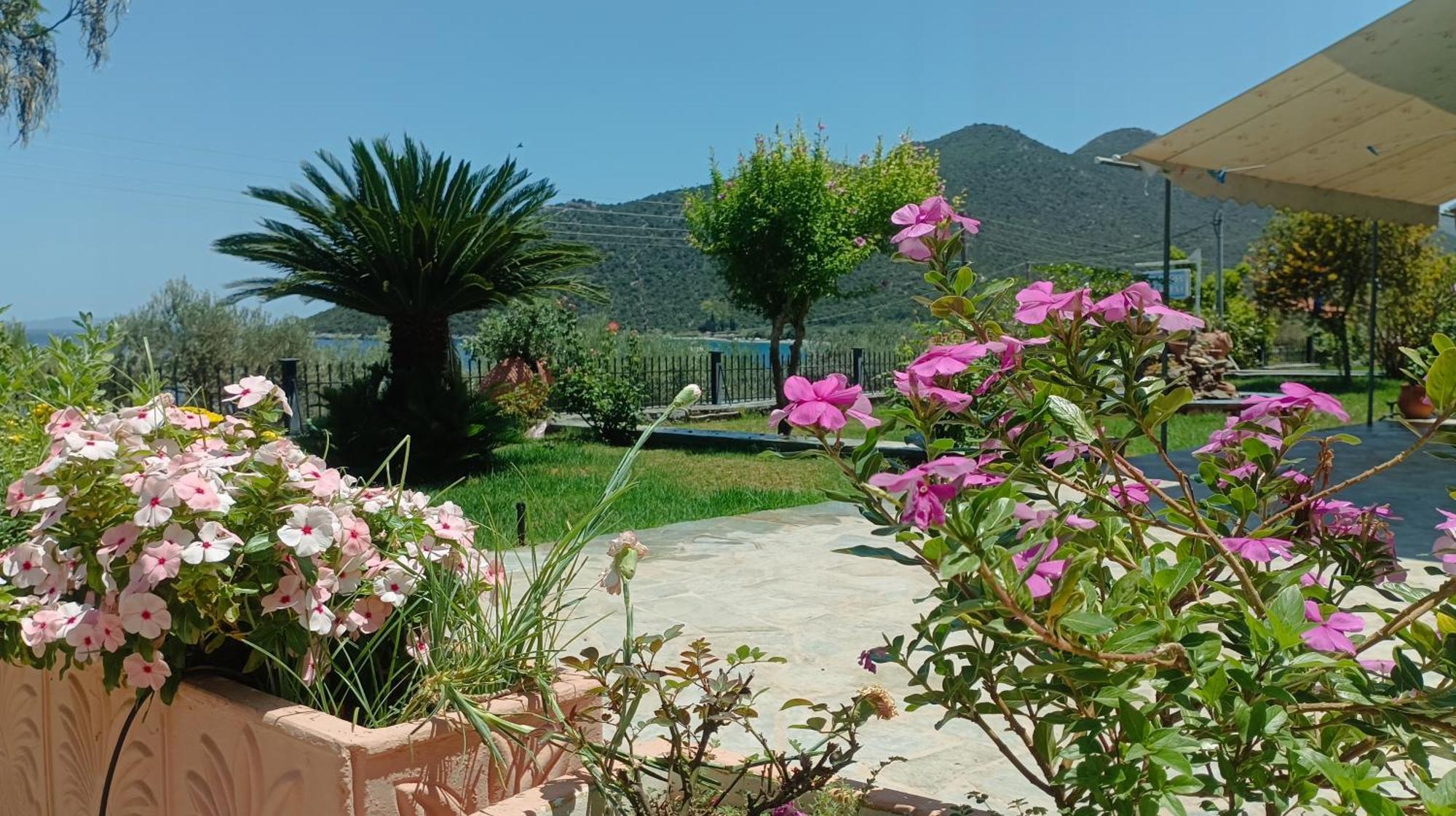 Studios Zaritsi Τυρός Εξωτερικό φωτογραφία