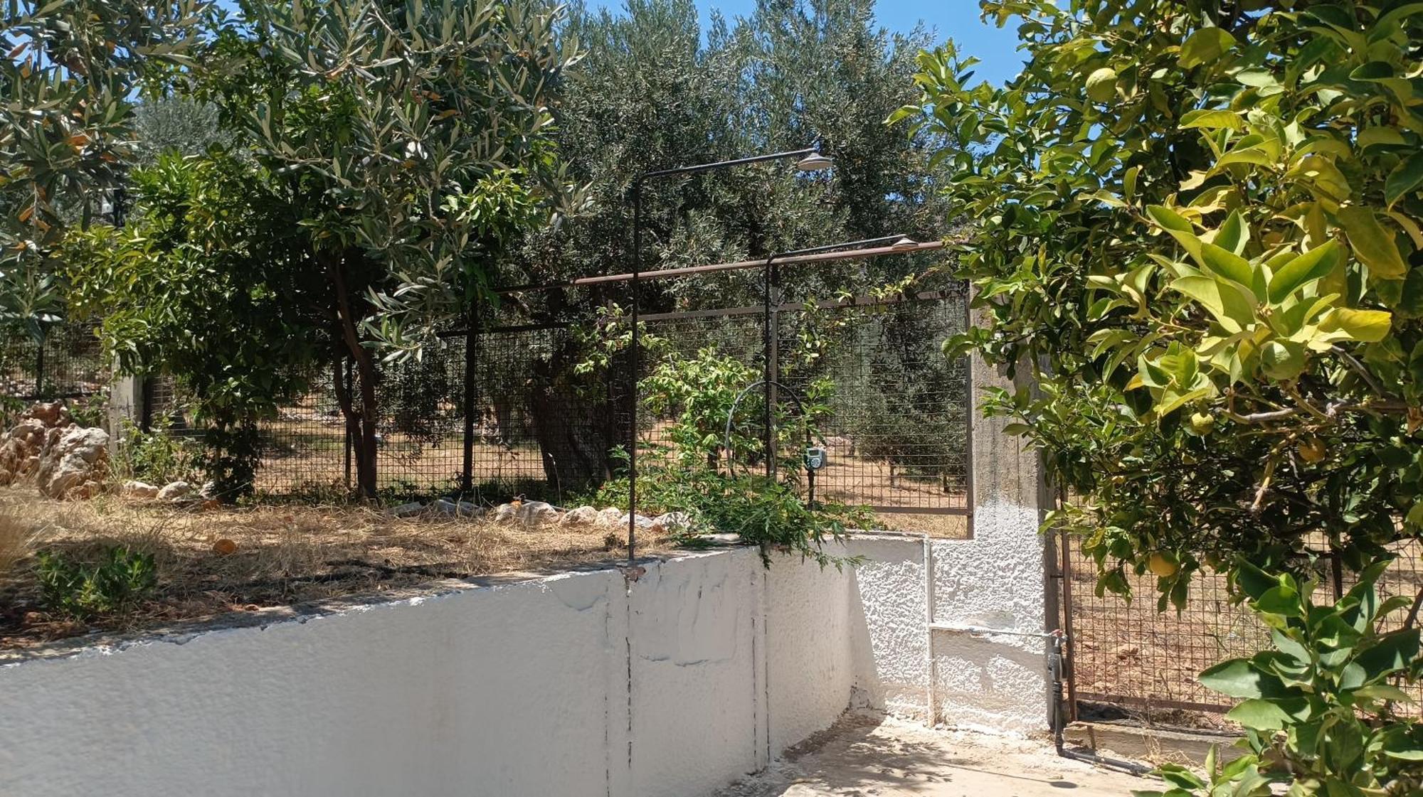 Studios Zaritsi Τυρός Εξωτερικό φωτογραφία